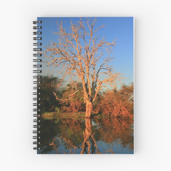 Item preview, Kakadu 2 designed and sold by David  Hibberd.