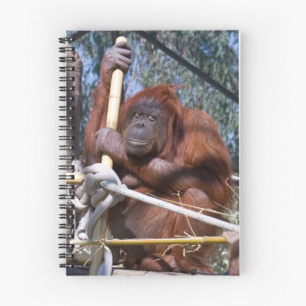 Item preview, Content designed and sold by Sue  Cullumber.