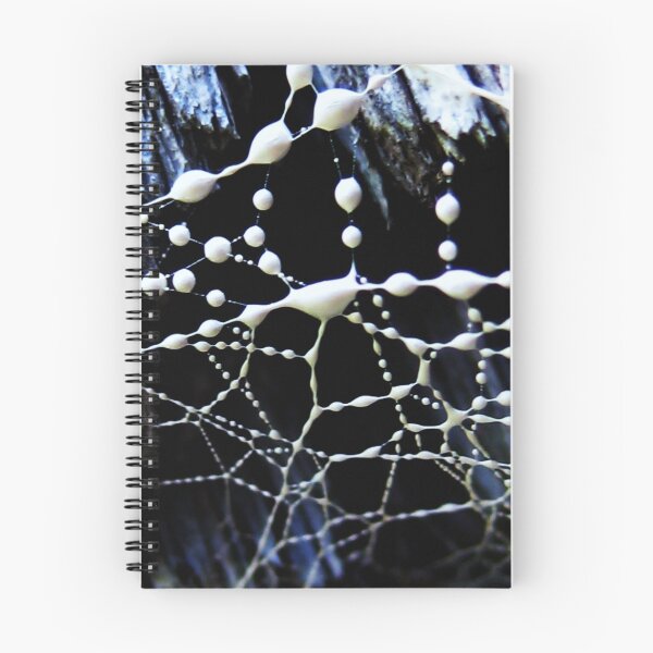 Item preview, intricate web designed and sold by oddoutlet.