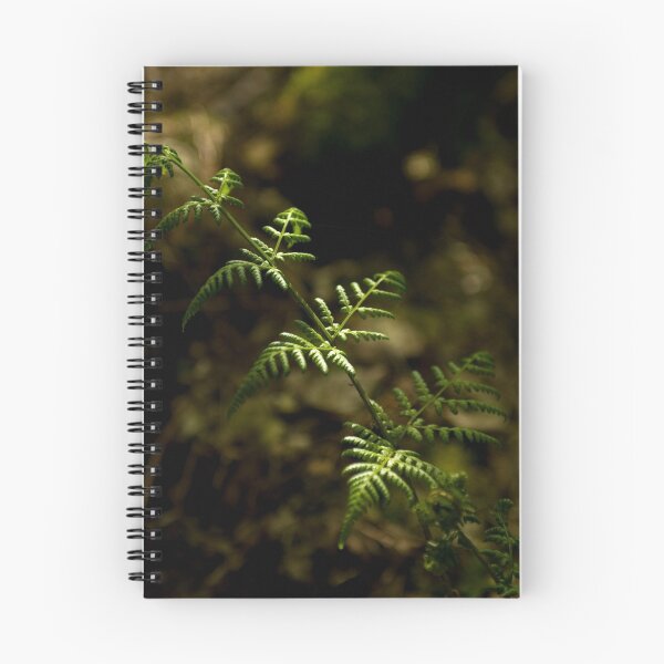 Item preview, new growth designed and sold by Matt Sillence.