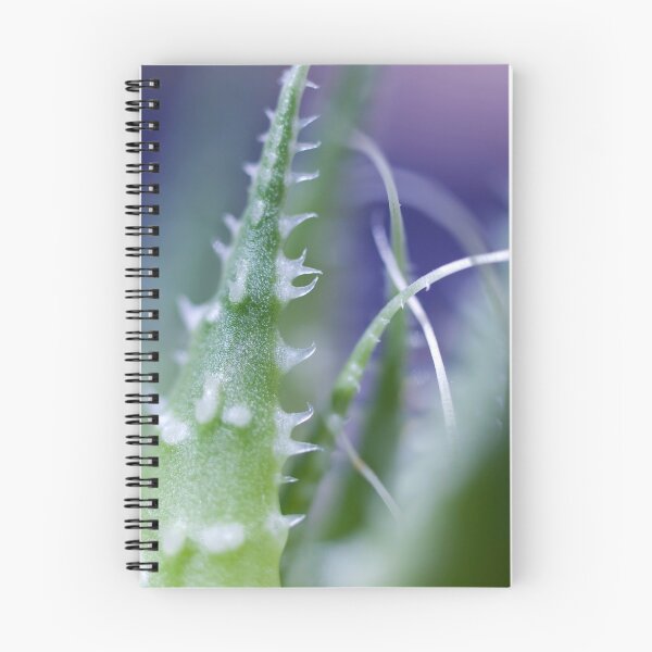 Item preview, Spiky Succulent designed and sold by Jenni77.
