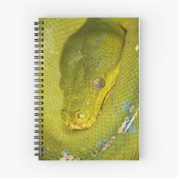 Item preview, Australian Green Python designed and sold by Steve Bullock.