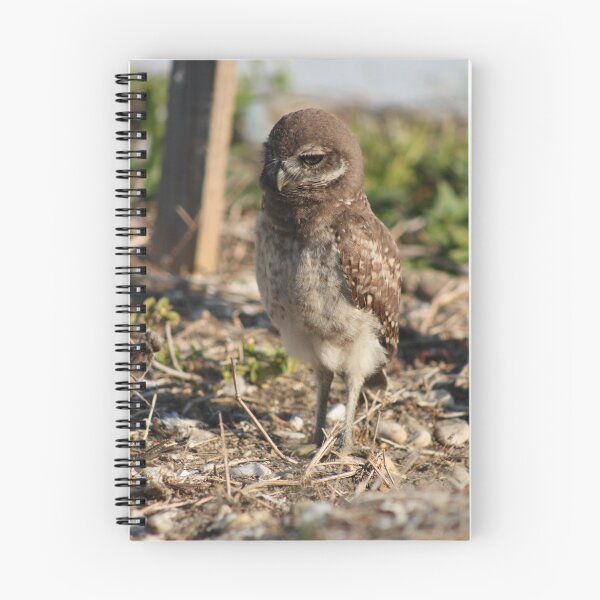 Item preview, Burrowing Owl Baby #1 designed and sold by Virginia N. Fred.