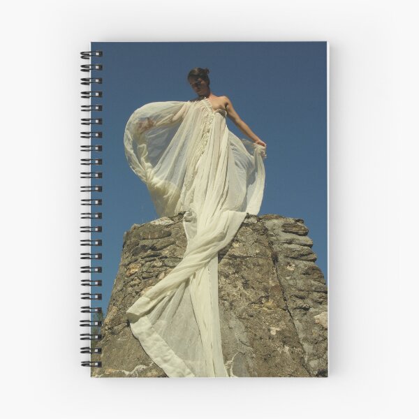Item preview, Robe designed and sold by Joseph Angilella AUQUIER.