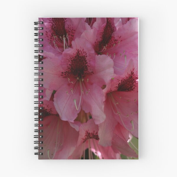 Item preview, Spring Rhodie designed and sold by Laddie Halupa.