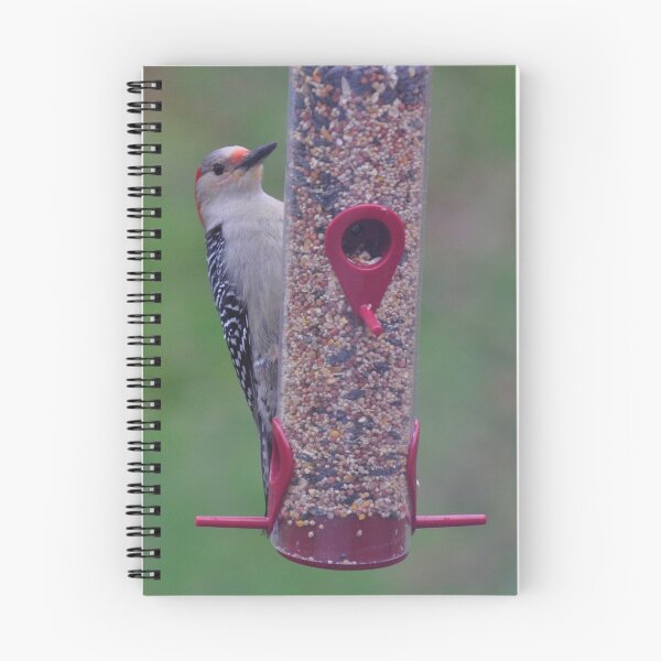 Item preview, woodpecker peeking around designed and sold by mltrue.