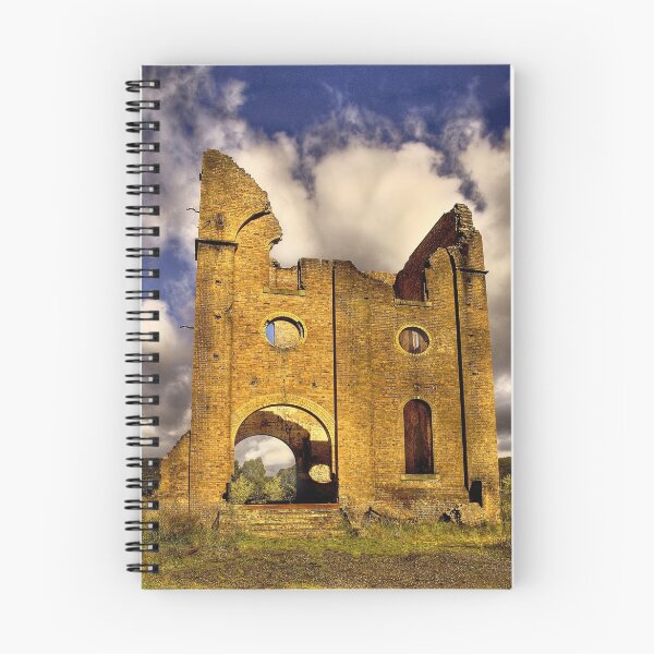 Item preview, Remains of Ferranti Engine House ... Lithgow Blast Furnace designed and sold by Rosalie Dale.