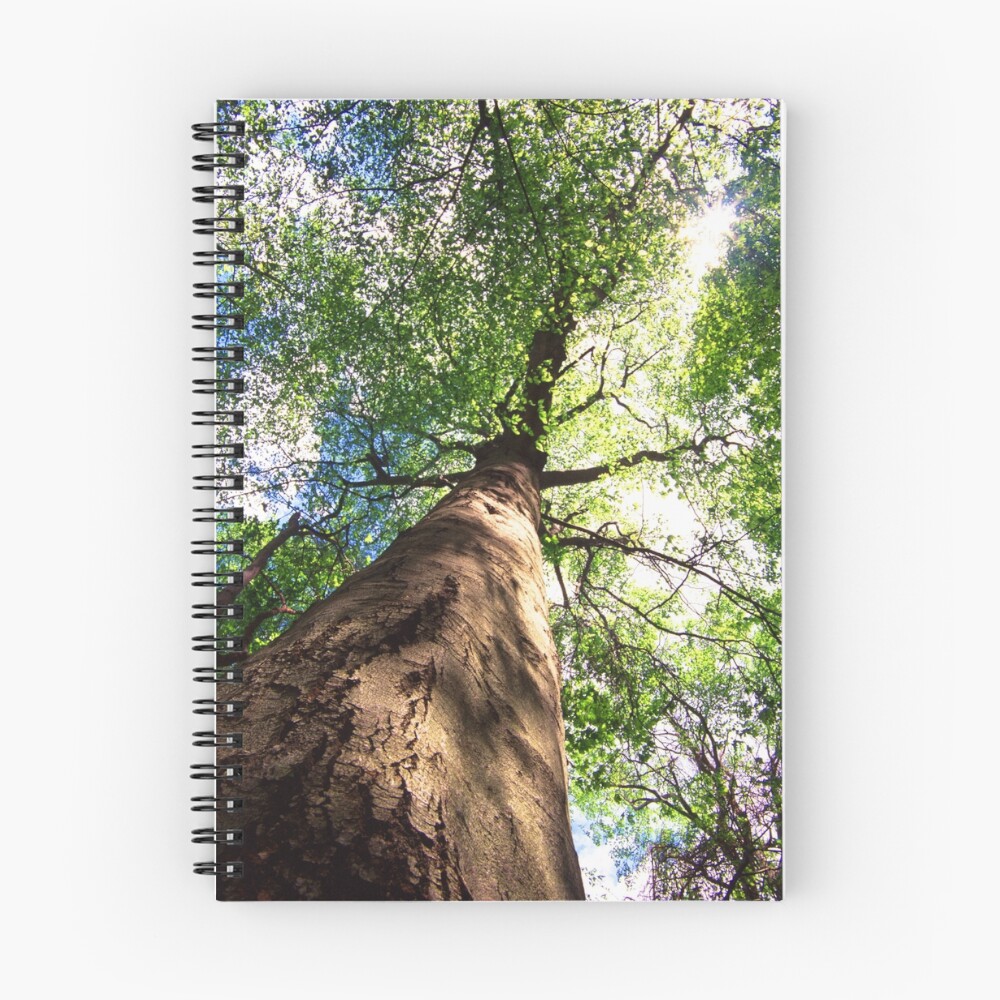 Vista previa del artículo con la obra «Cuaderno de espiral», diseñado y vendido por WorldDesign.