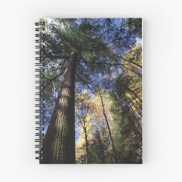 Item preview, Old-Growth Hemlock designed and sold by WorldDesign.