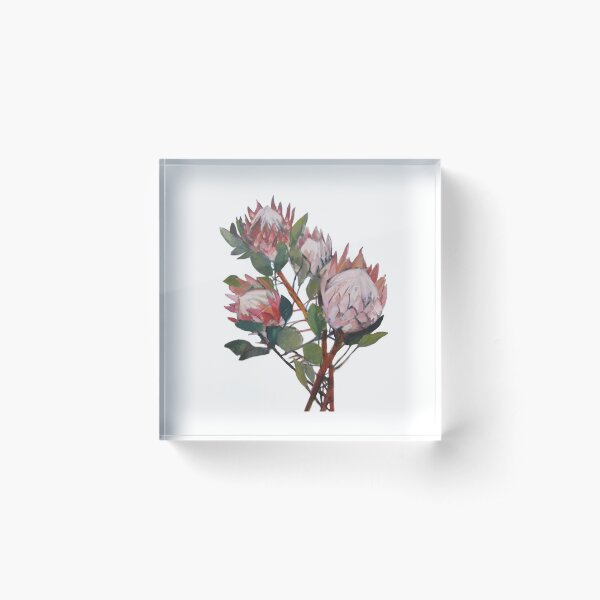 A Bunch of King Proteas Acrylic Block