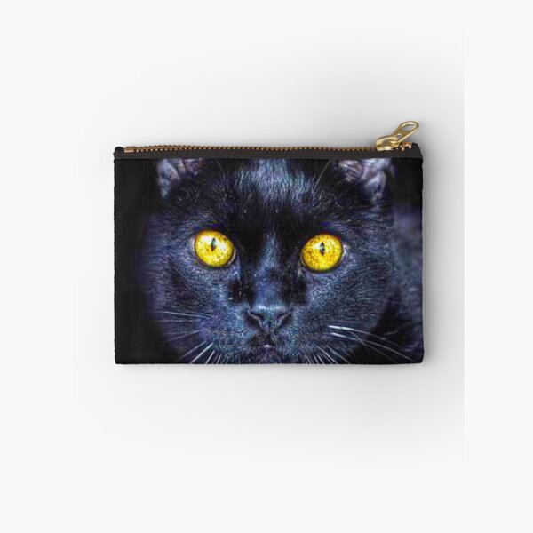 Item preview, Black Cat  Chat Noir designed and sold by Marc4577.