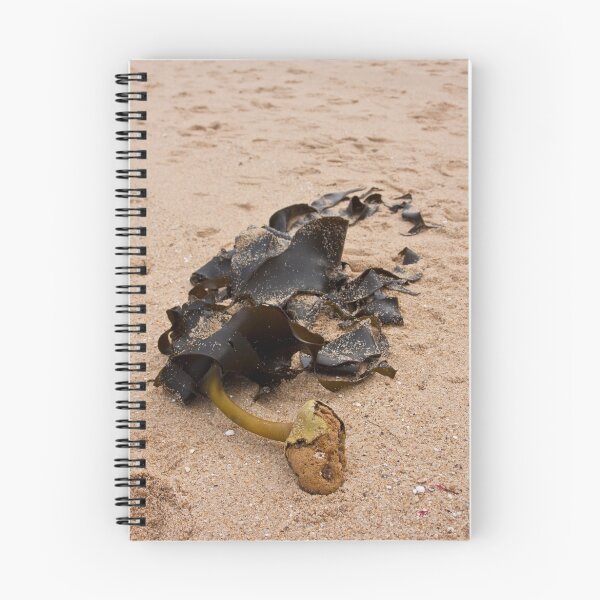 Aperçu de l'œuvre Kelp #2 créée et vendue par RyePixels.