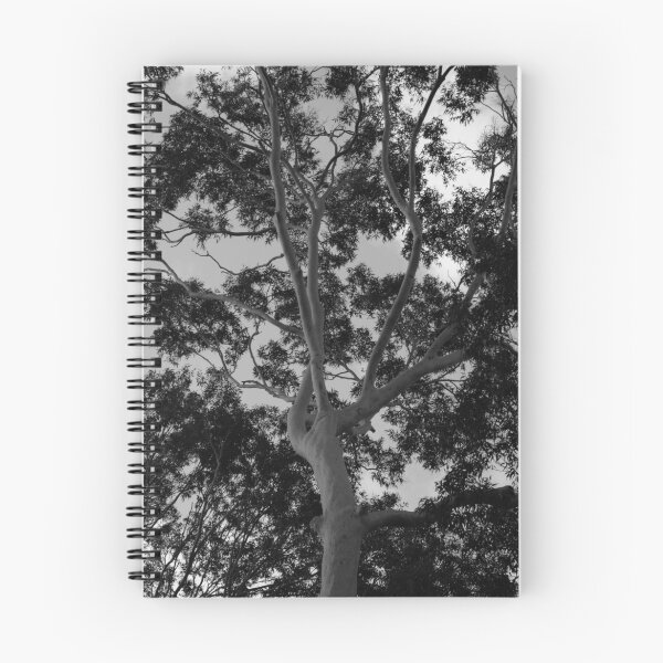 Item preview, Tall Timbers designed and sold by Kelly Robinson.
