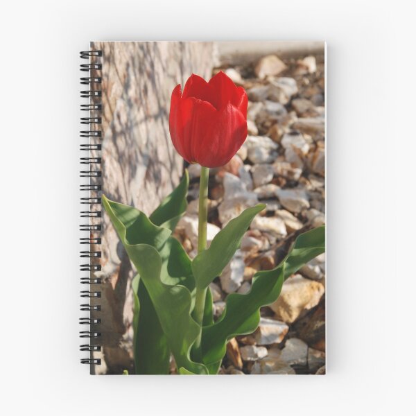 Artikelvorschau, Tulip entworfen und verkauft von Vonnie Murfin.