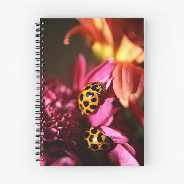 Item preview, Ladybird Bliss designed and sold by Steve Chapple.
