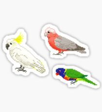 The Usual Suspects: Common Australian Backyard Parrots Pixel Sticker