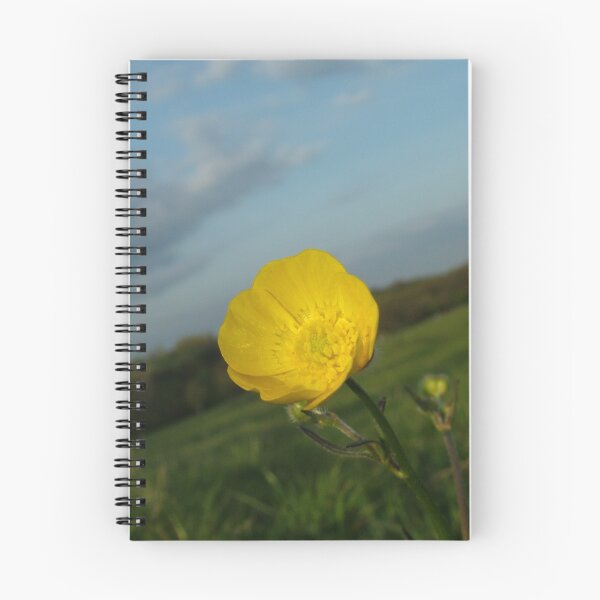 Aperçu de l'œuvre Buttercup créée et vendue par kell24.
