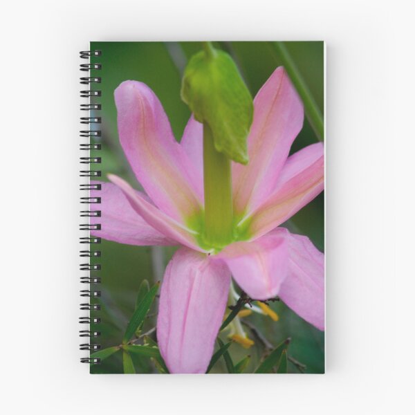 Item preview, Back Pink designed and sold by Kellea Croft.