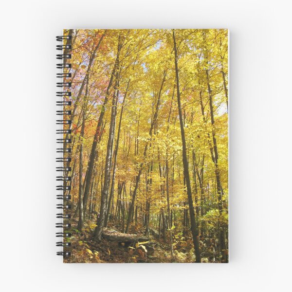 Item preview, Monongahela Walk designed and sold by Christopher Bookholt.