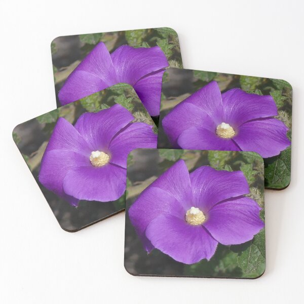 Item preview, Purple Hibiscus designed and sold by Margaret Saheed.