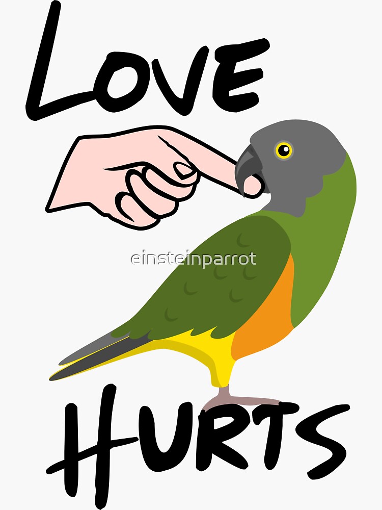 Funny Parrot Gift Shirt Pet Parrots Bird Love Hurts Premium T-Shirt Funny Parrot Gift Shirt Pet Parrots Bird Love Hurts Premium T-Shirt