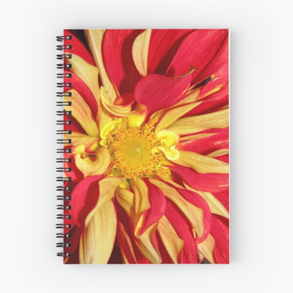Item preview, Bodacious! designed and sold by Patty Lewis.