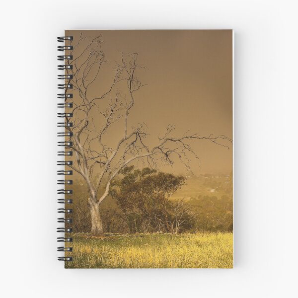 Item preview, Dust storm ... Cootamundra designed and sold by Rosalie Dale.