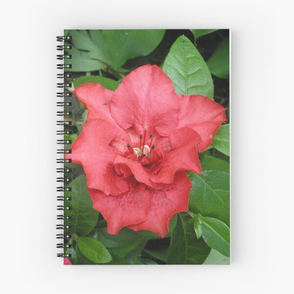 Item preview, Red hibiscus designed and sold by annalisa56.