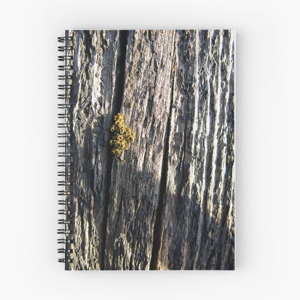 Item preview, Morning light and shadow designed and sold by Al Williscroft.