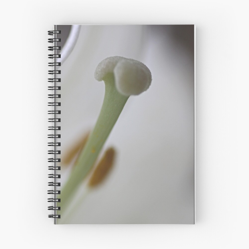 Item preview, Spiral Notebook designed and sold by cking.