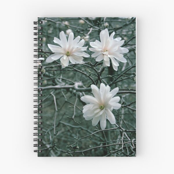 Item preview, Broken Places designed and sold by Lita Medinger.