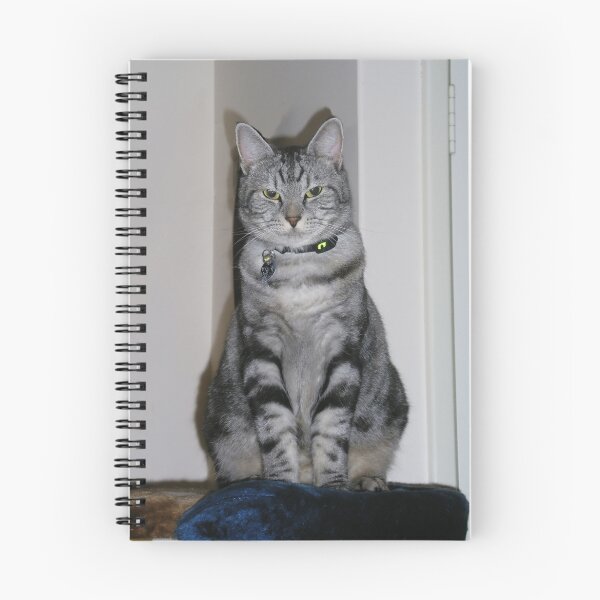 Item preview, Most disapproving designed and sold by Sandra Chung.
