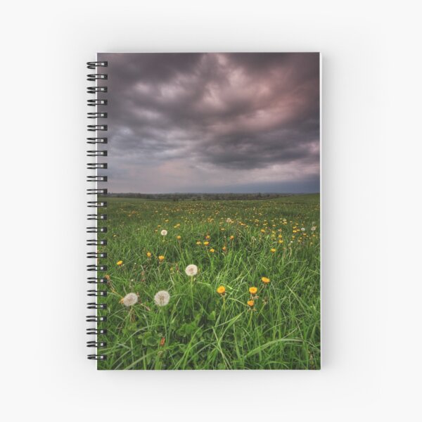 Dandy Field v3 Spiral Notebook