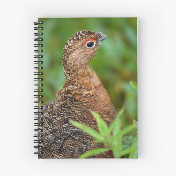Item preview, Ptarmigan Portrait designed and sold by WorldDesign.