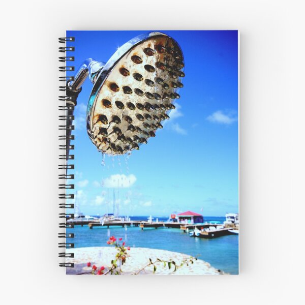 Item preview, today's forecast is for blue skies and heavy showers  designed and sold by photocillin.