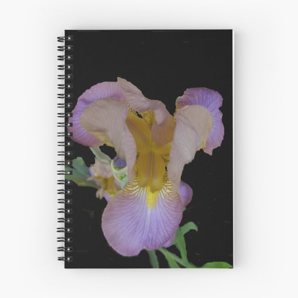 Item preview, Roaring Iris designed and sold by cmommy5.