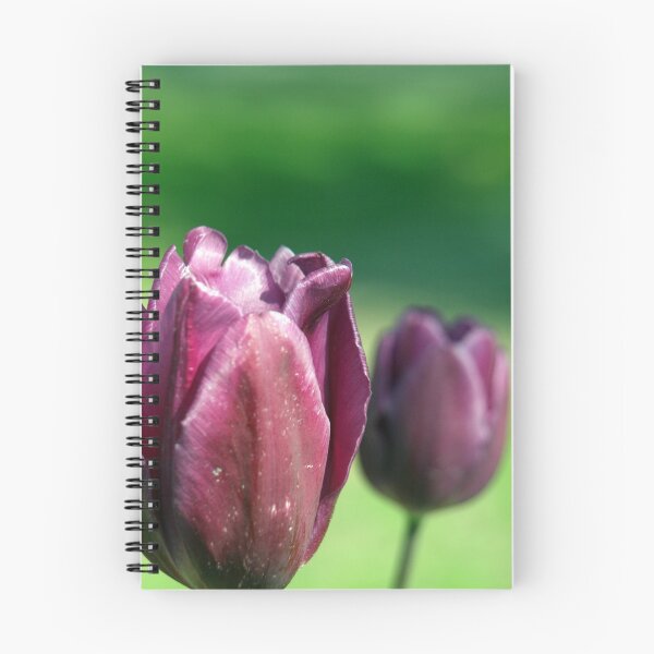 Item preview, Deep Violet's designed and sold by kimbarose.