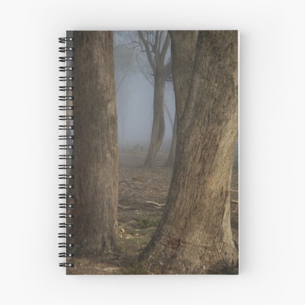 Item preview, Ghosts designed and sold by Norman Repacholi | Keystone Photography.