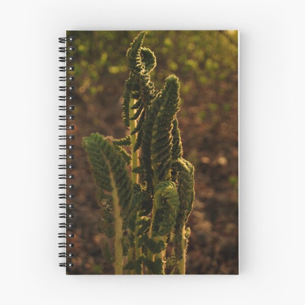 Item preview, unfolding ferns  designed and sold by Jeff stroud.