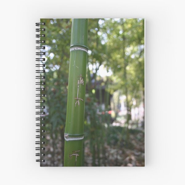 Item preview, Chinese bamboo designed and sold by Sophie Matthews.