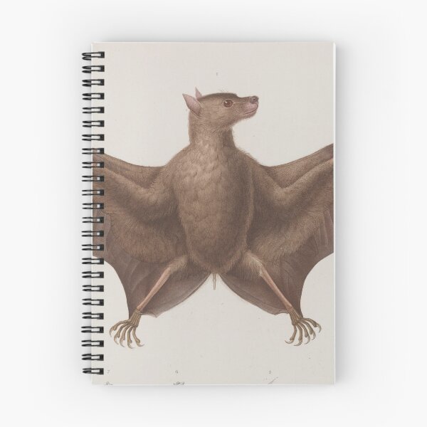 Item preview, Vintage Bat Illustration (1835) designed and sold by BravuraMedia.