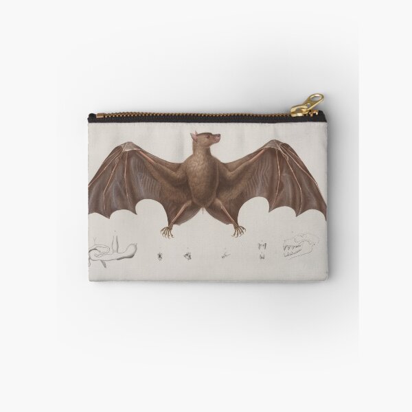 Item preview, Vintage Bat Illustration (1835) designed and sold by BravuraMedia.