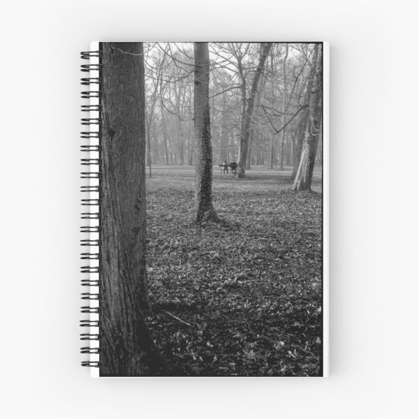 Artikelvorschau, alone in the park • dijon, burgundy • 2008 entworfen und verkauft von lemsgarage.