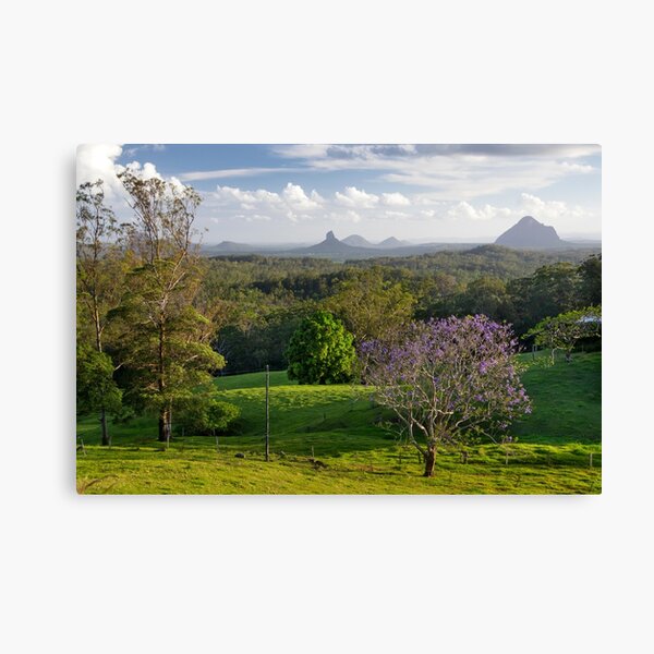 Glasshouse Mountains with Jacaranda Canvas Print