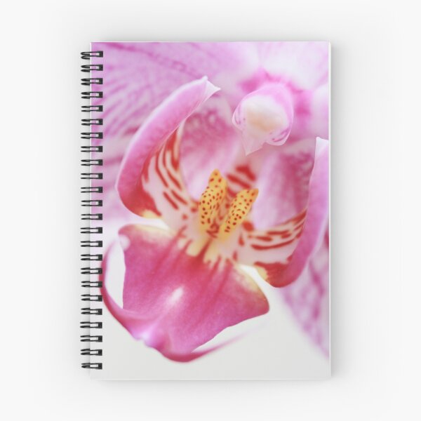 Item preview, Orchid Pinks designed and sold by Lucy Hollis.