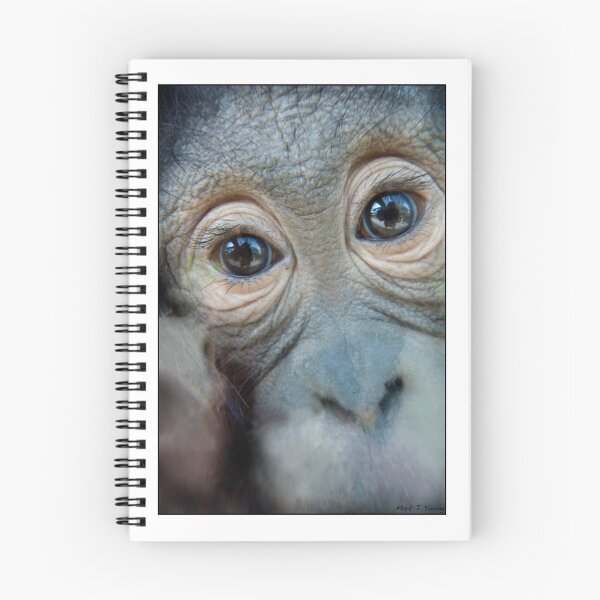 Aperçu de l'œuvre Singe créée et vendue par MarkYoung.