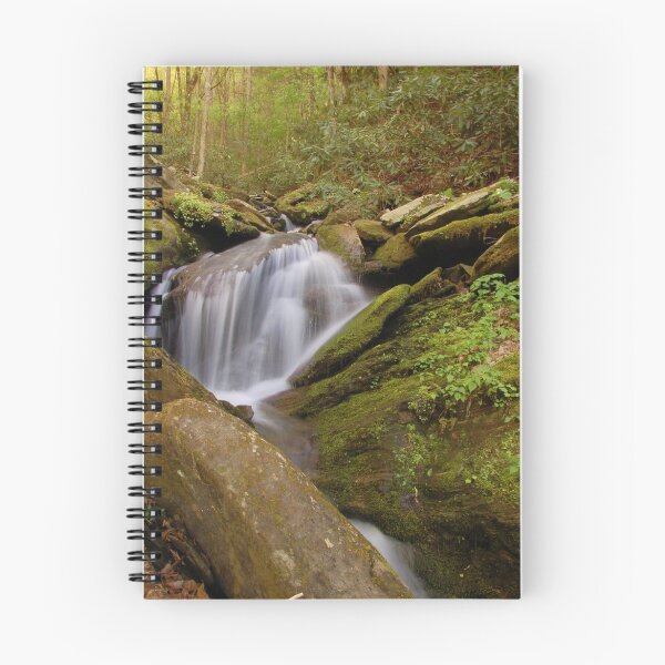 Item preview, spring falls designed and sold by dc witmer.