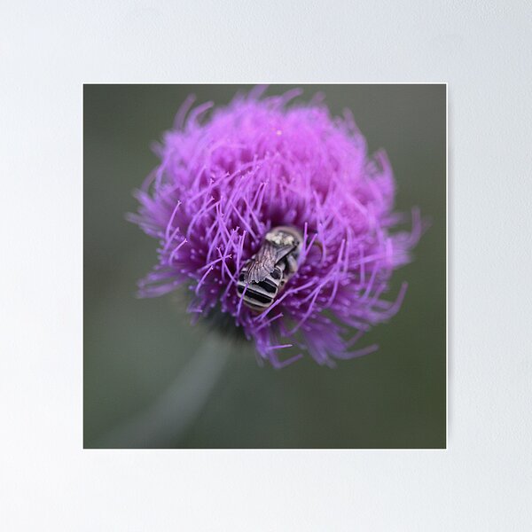 Item preview, Fuzzy Nest designed and sold by LauraBroussard.