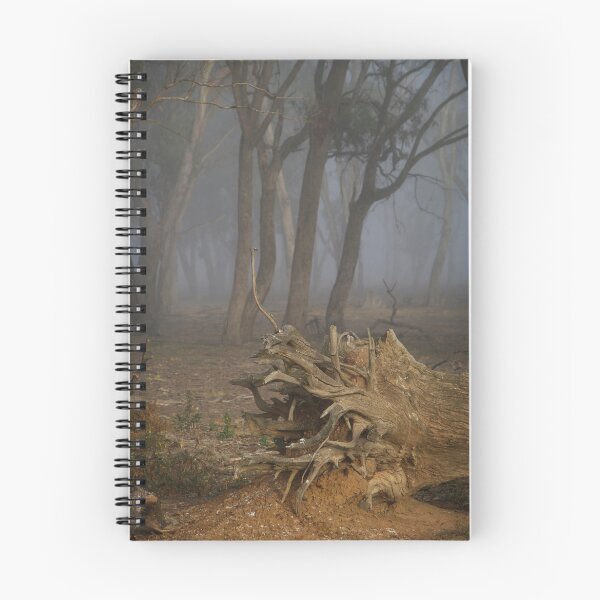 Item preview, Gone designed and sold by Norman Repacholi | Keystone Photography.