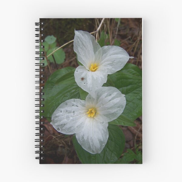 Item preview, Trillium designed and sold by Dalton Sayre.